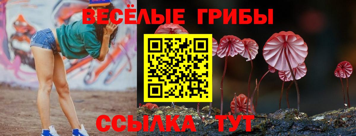 Галлюциногенные грибы Cubensis Гай
